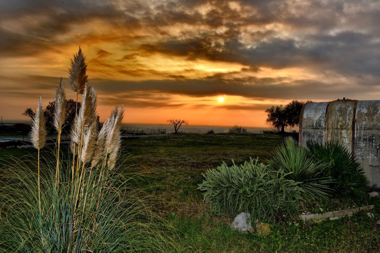 Agriturismo La Guarda Picedo エクステリア 写真