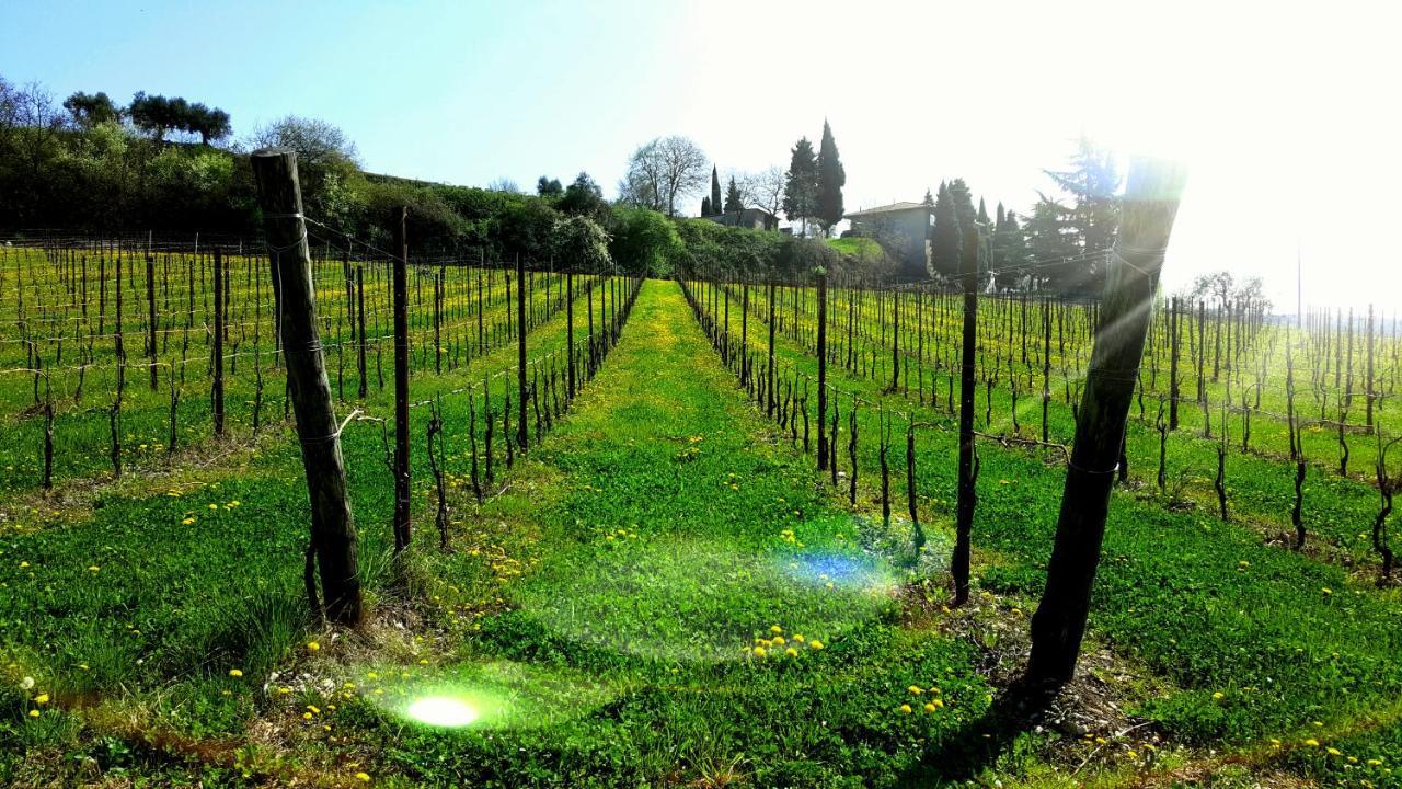 Agriturismo La Guarda Picedo エクステリア 写真