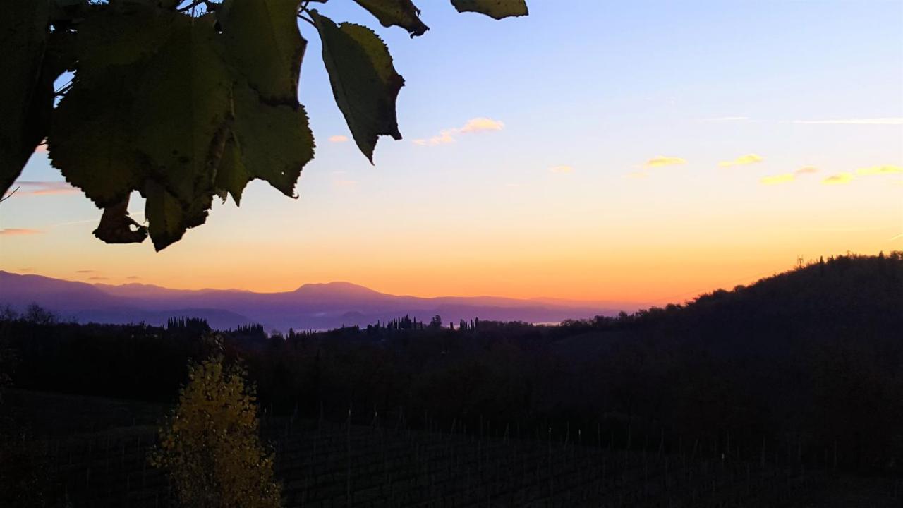 Agriturismo La Guarda Picedo エクステリア 写真