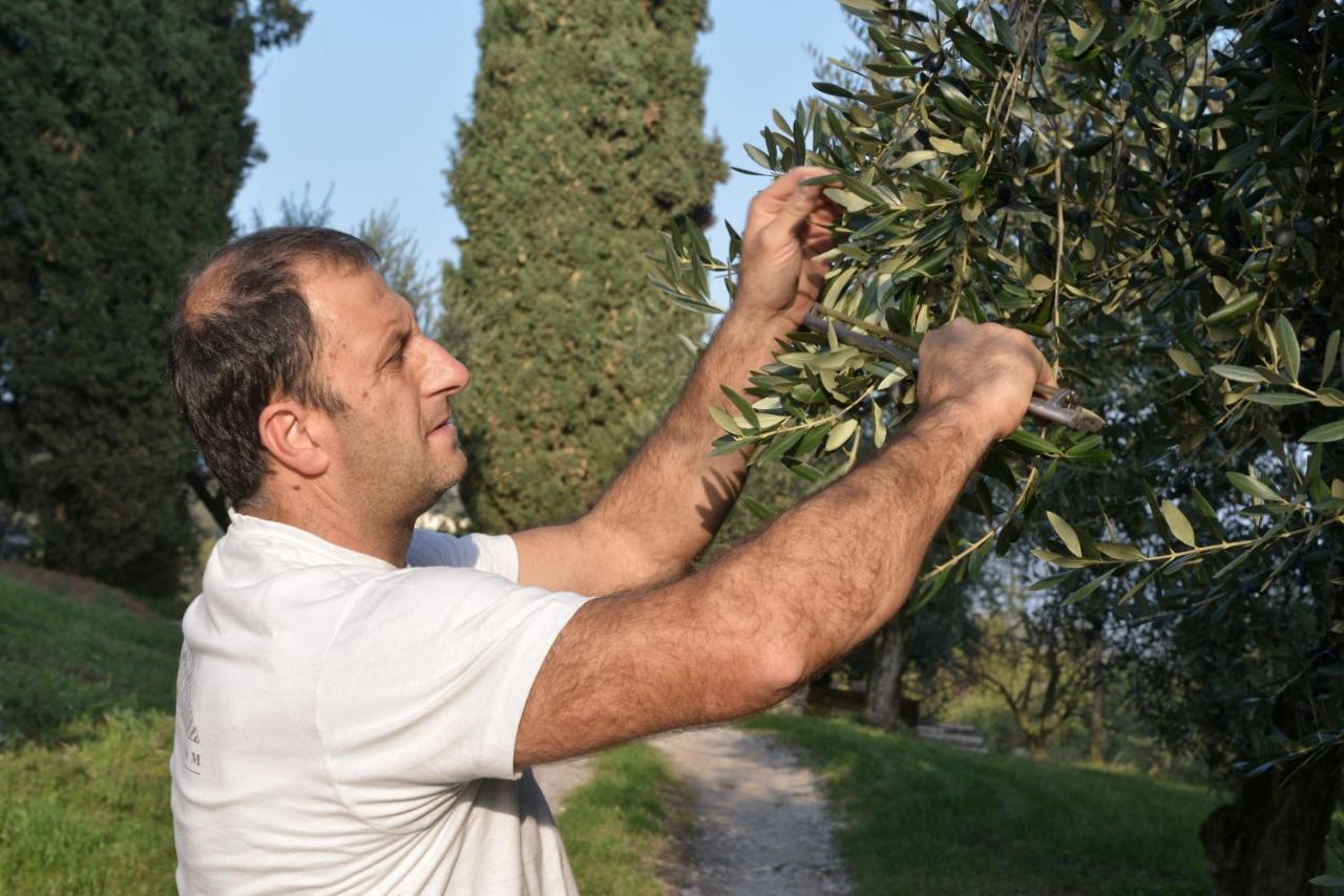 Agriturismo La Guarda Picedo エクステリア 写真