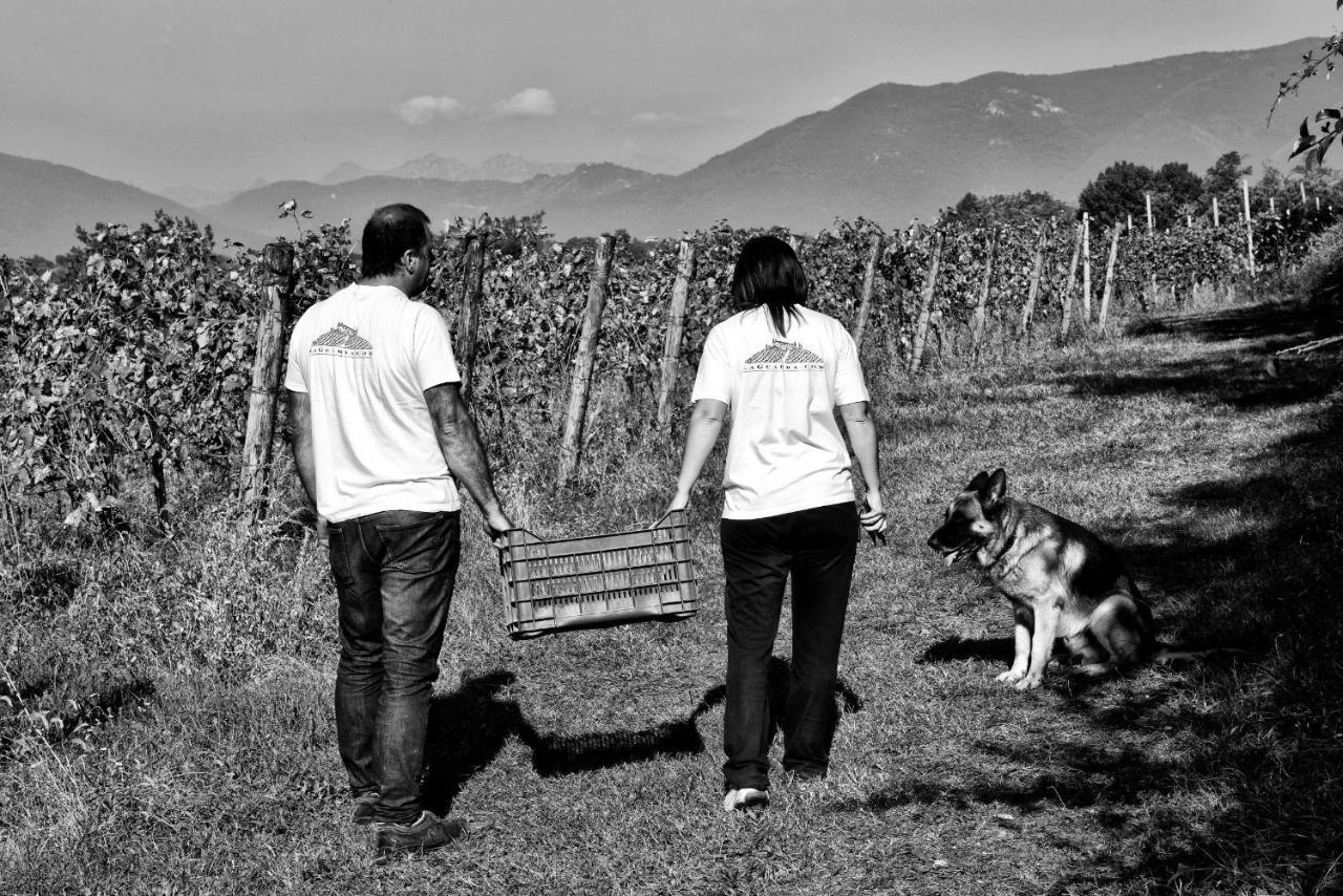 Agriturismo La Guarda Picedo エクステリア 写真