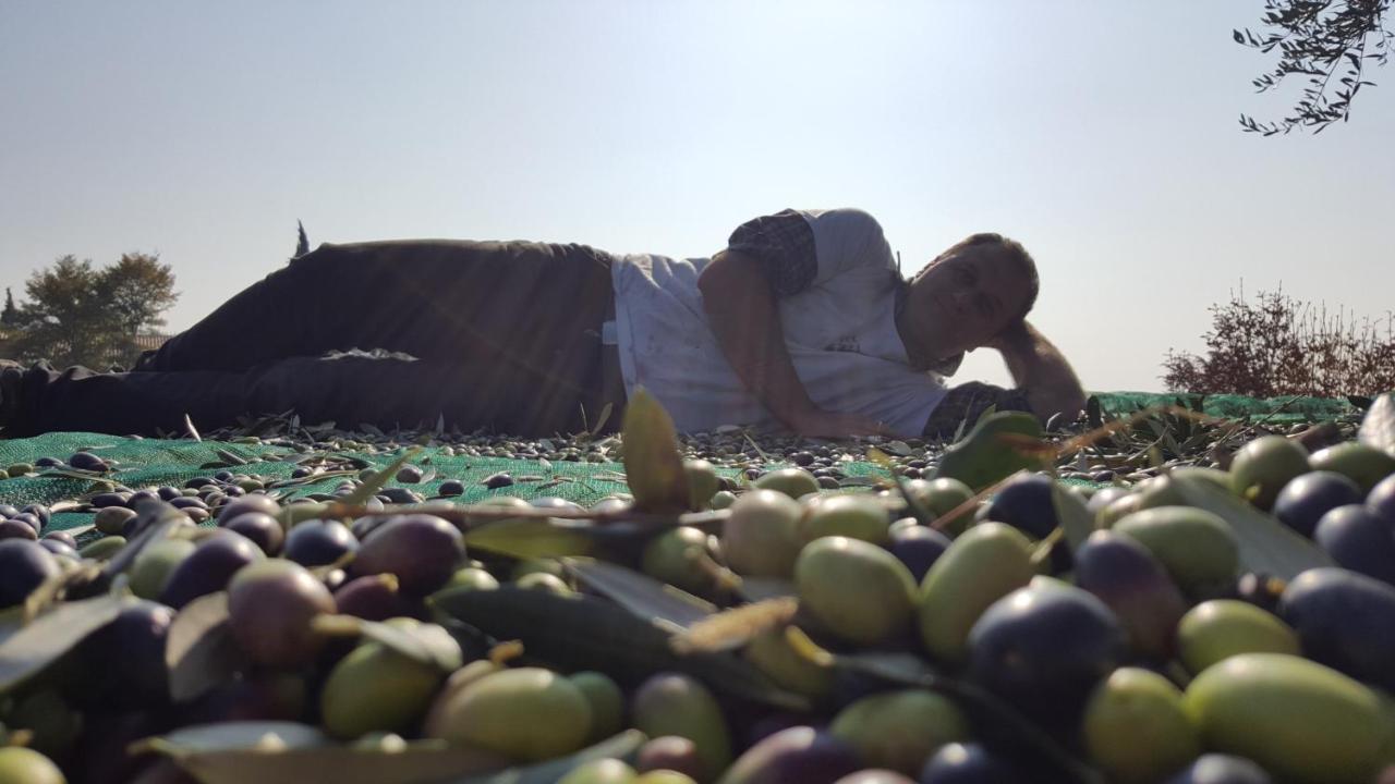 Agriturismo La Guarda Picedo エクステリア 写真