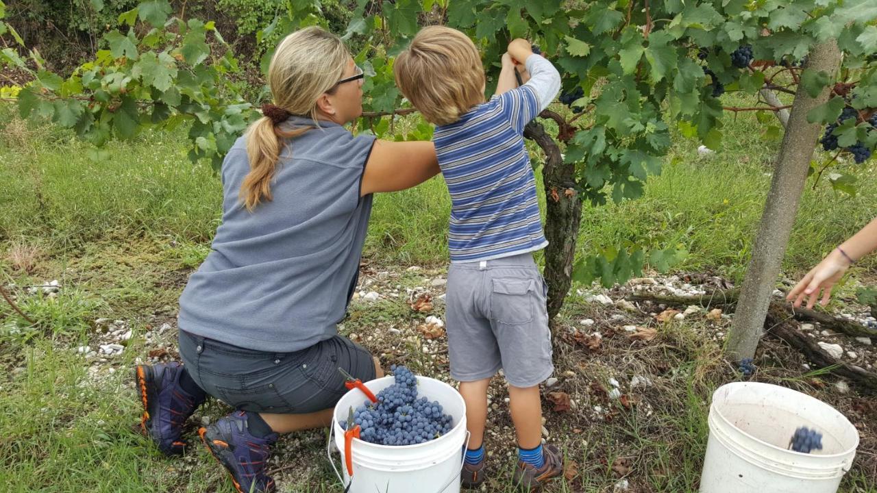 Agriturismo La Guarda Picedo エクステリア 写真