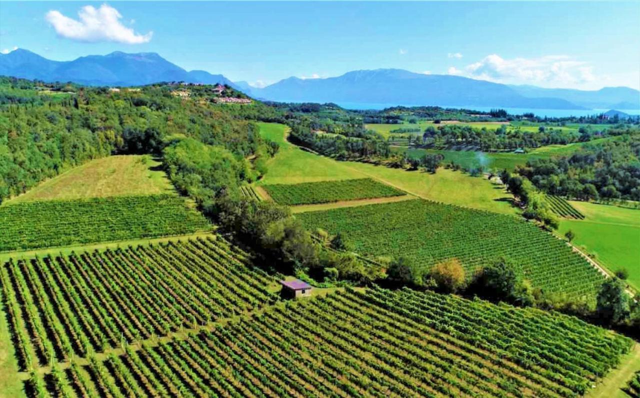 Agriturismo La Guarda Picedo エクステリア 写真